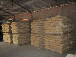 專注品質，信賴之選——貴陽抗裂砂漿專業(yè)廠家百旺建材